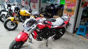 ����ZS250GS-3